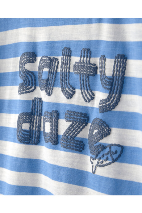 Remera de algodón, manga corta, azul y blanca, diseño a rayas Remera de algodón, manga corta, azul y blanca, diseño a rayas