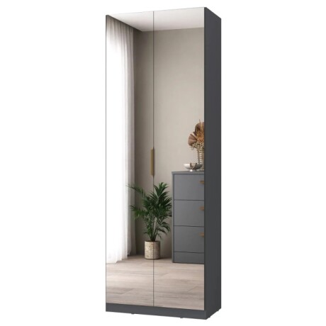 Multiuso 2 Puertas Plus Grafito Con Espejo Multiuso 2 Puertas Plus Grafito Con Espejo
