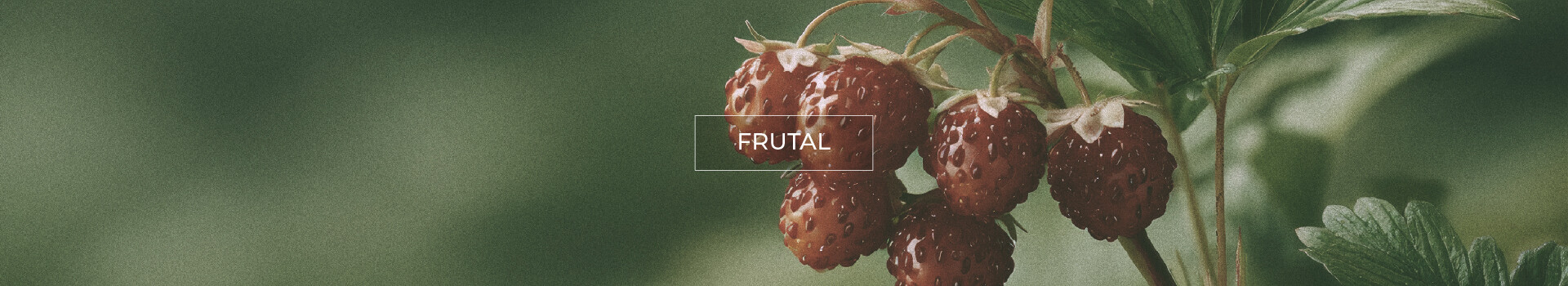 Listado de Productos - Frutal