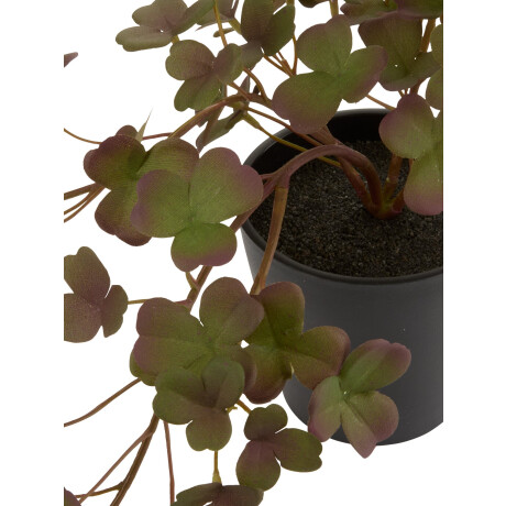 Planta Artificial Bergur A21Cm Maceta