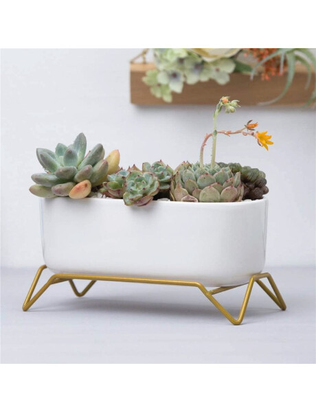 MACETA CERAMICA C/BASE 17x9x9CM BLANCO/DORADO MACETA CERAMICA C/BASE 17x9x9CM BLANCO/DORADO