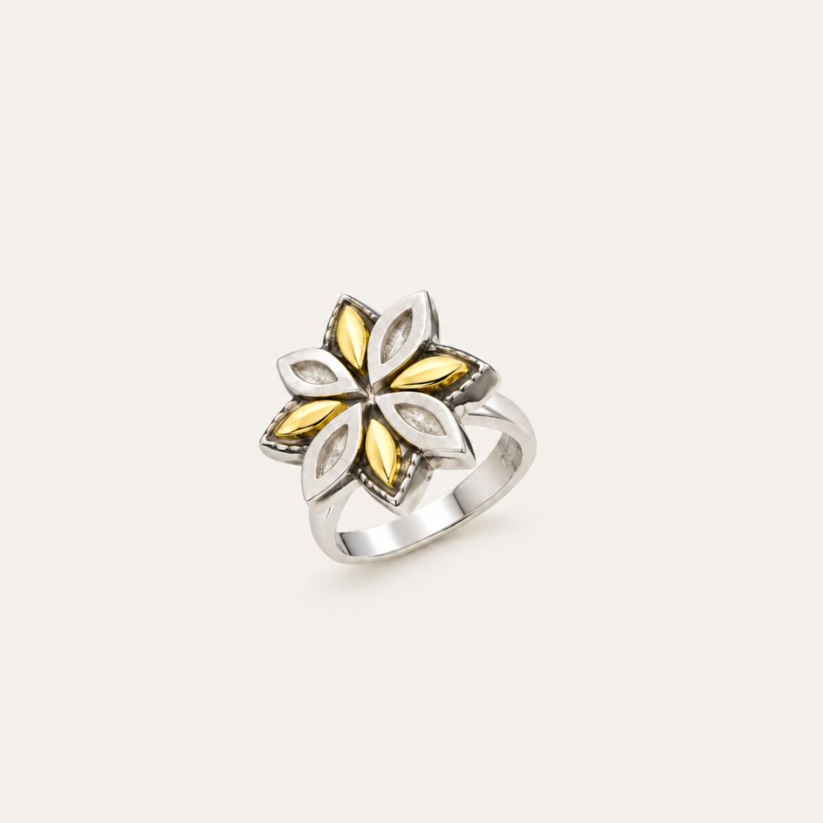 Anillo Lili - Plata y Oro 