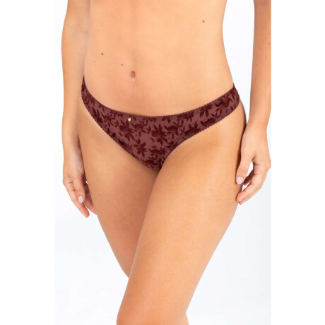 Colaless destina Bordeaux