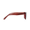 Lentes de Sol Legacy polarizados y protección UV LG25304 C4