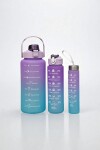 Botellas plasticas - pack x 3 Botellas plasticas - pack x 3
