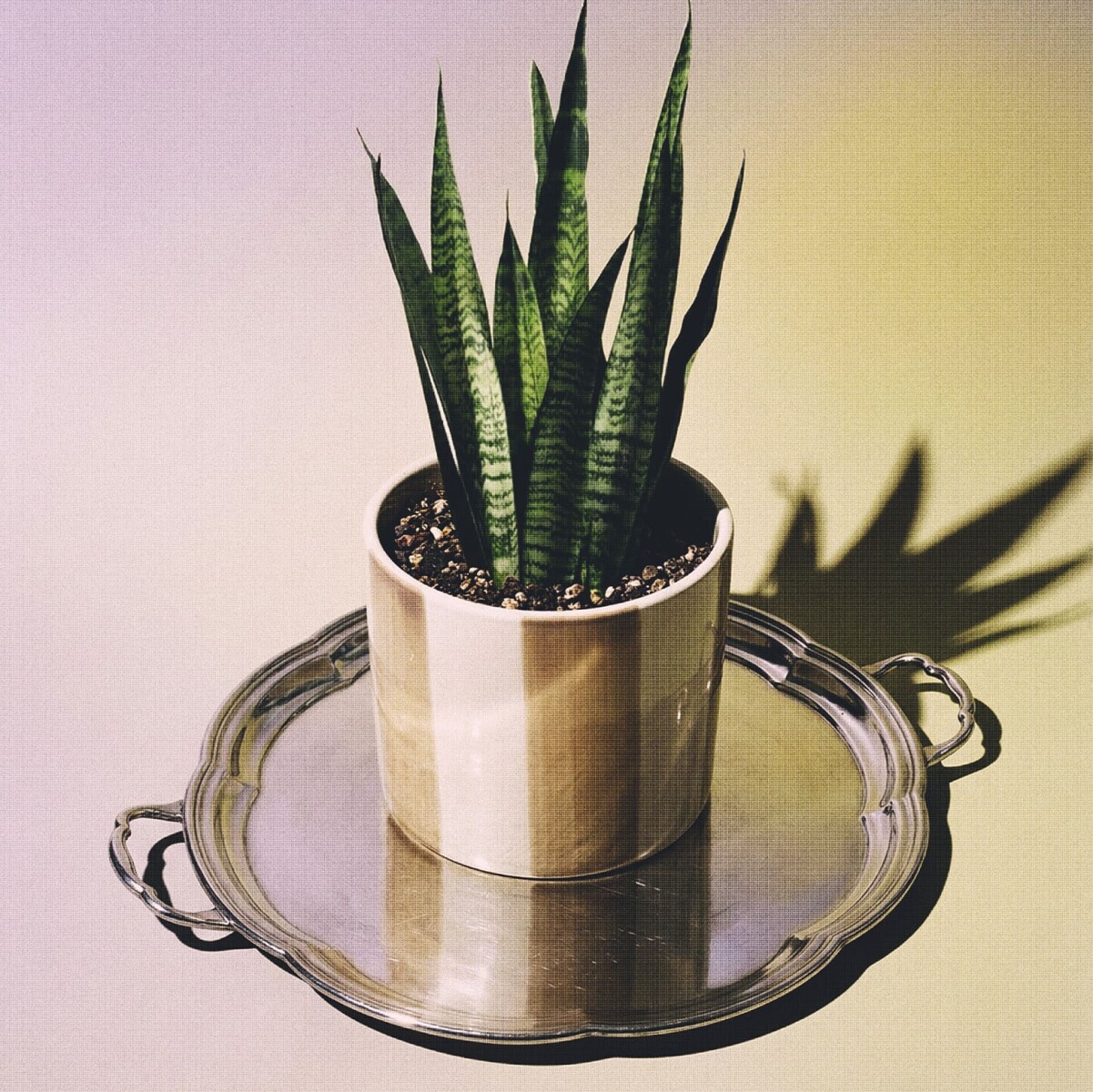 Maceta de cerámica Prisma 