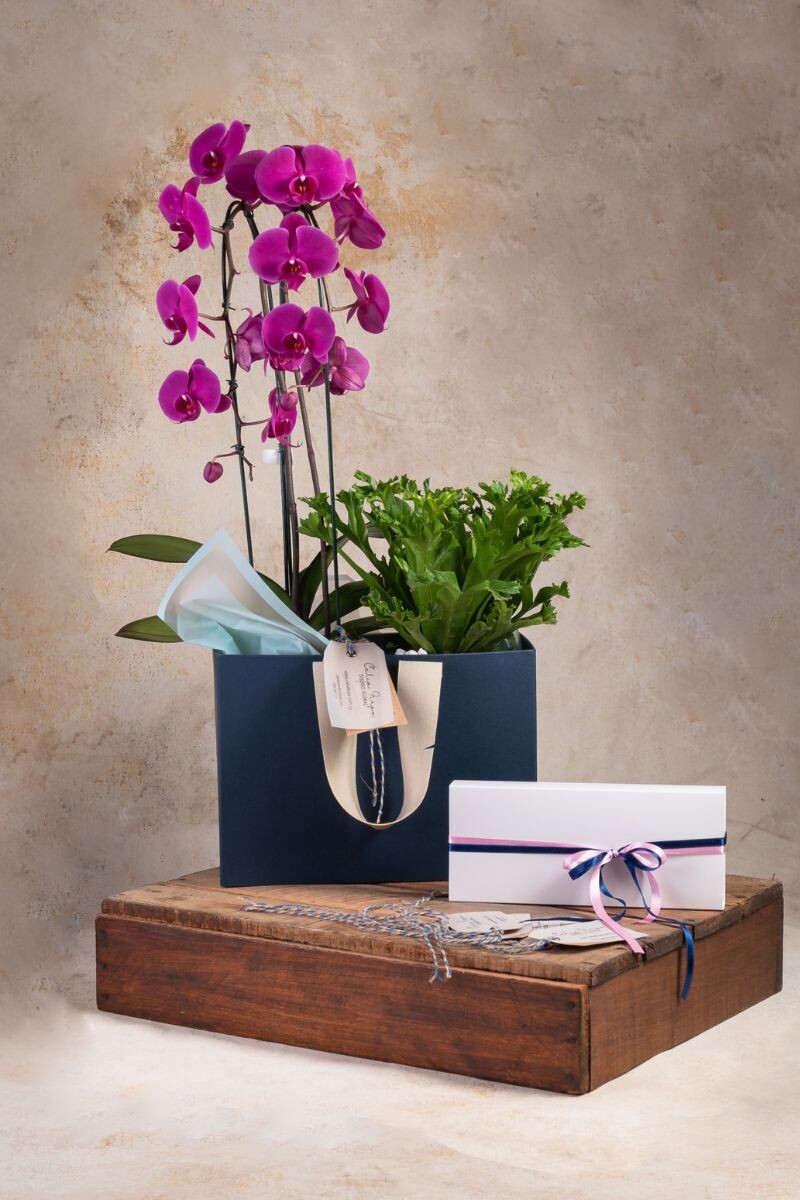 Orquídea y Helecho con caja de 12 bombones 