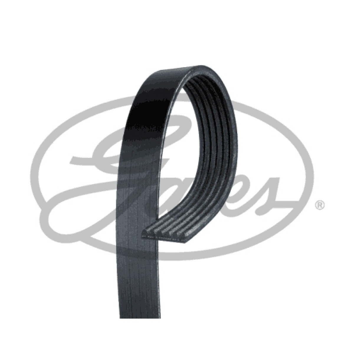 CORREA ALTERNADOR CHERY TIGGO 2.0 ALT. DH A.A GATES 