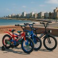 Bicicleta Fly Rodado 16 Rueditas Timbre Y Luz Rojo