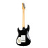 Guitarra Eléctrica GODIN Session LTD Black Guitarra Eléctrica GODIN Session LTD Black