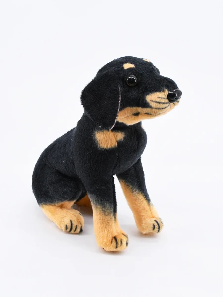 PERRO SIMON NEGRO