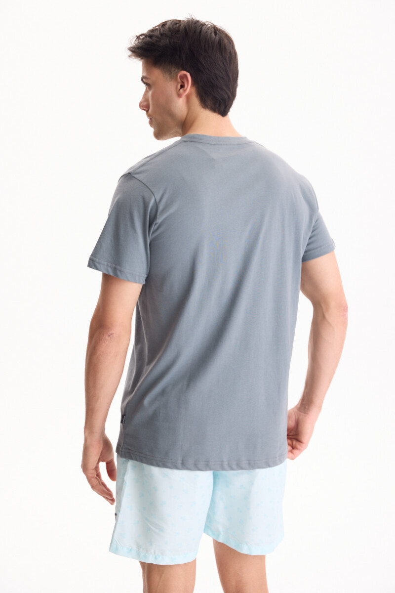 Remera Palmira Gris