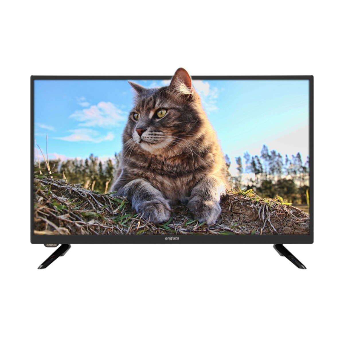 Tv Led Enxuta Ledenx1224d1k 24" - TV 24"" LED ENXUTA HD ISDBT LEDENX1224D 