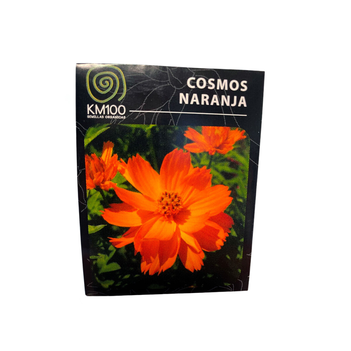 Semillas de cosmos naranja 