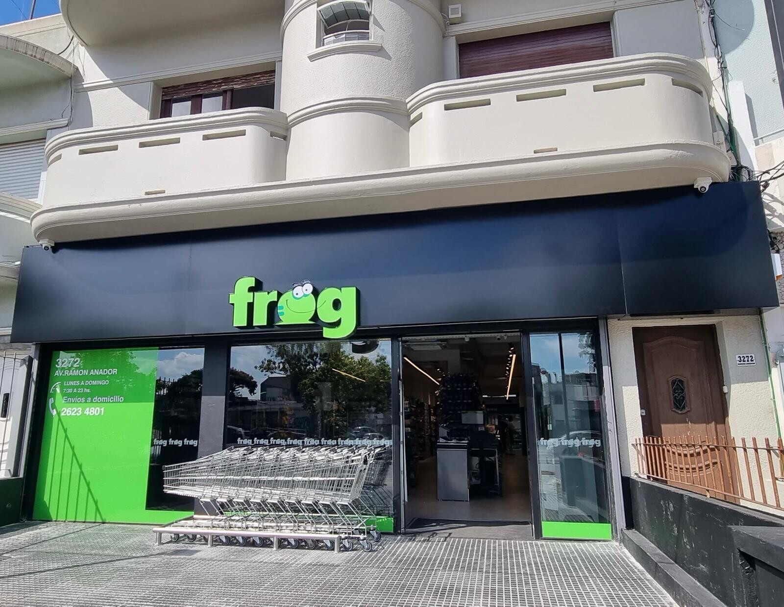 Frog 12