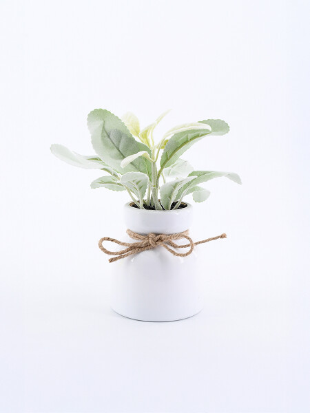 PLANTA CON MACETA VERDE