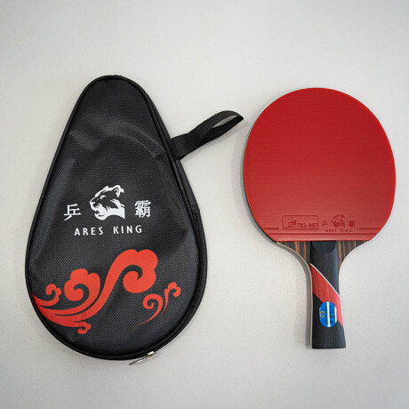 Paleta De Ping Pong 6 Estrellas Tenis De Mesa Png004106