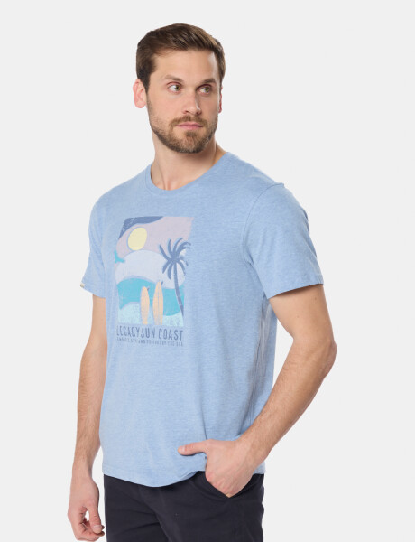 REMERA ESTAMPADA Azul