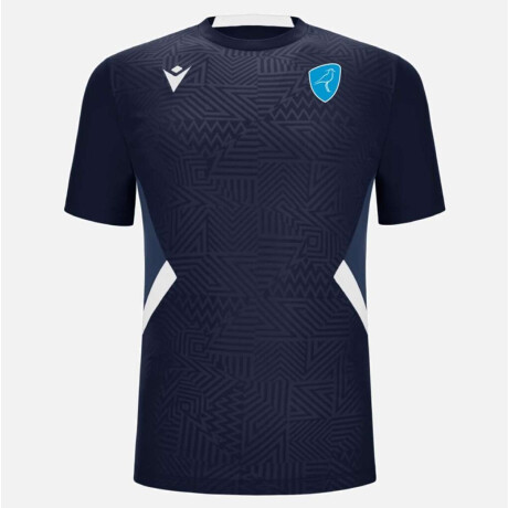Remera Training Teros Teros