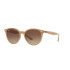 RAY BAN sol 4305 COL 616/613 RAY BAN sol 4305 COL 616/613