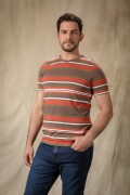 Remera Combinada. Rayas Marrones