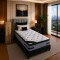 Sommier 1 Plaza THM Platinum 90X190 Negro