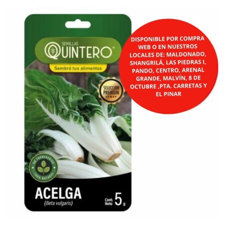 Semillas Acelga x 5g
