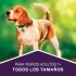 DOG CHOW PERROS ADULTOS MAYORES 21 KILOS