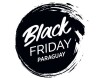 Black Friday 30%