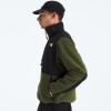 Campera RETRO DENALI Woodland Green/tnf Blac