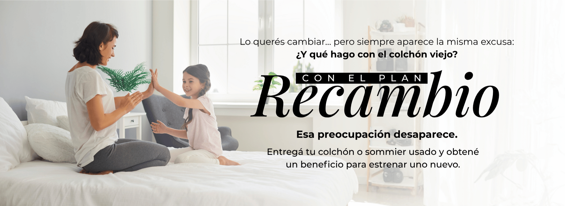 Plan Recambio