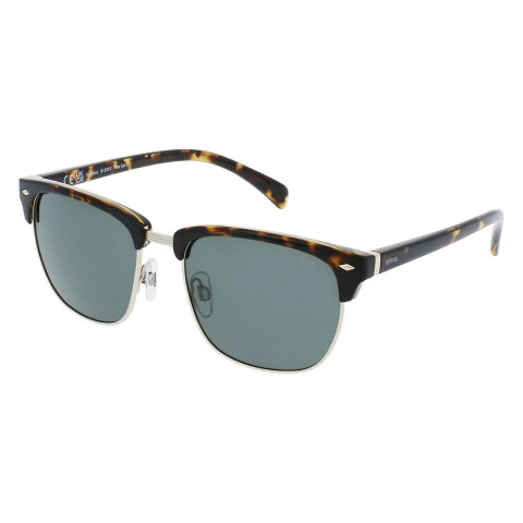 INVU B1208B Demi/Gold Polarized Invu B1208b Demi/gold Polarized