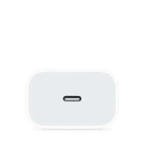 Cargador Apple USB-C Unidad