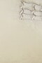 BALLERINA CON ESCUDO BEIGE