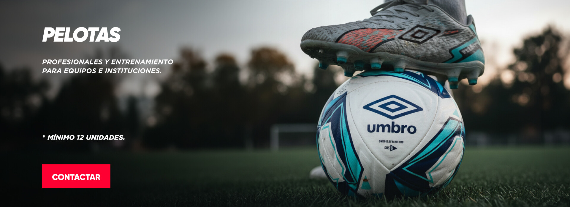 Pelotas equipamientos