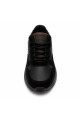 Champion Paddock Elos Negro