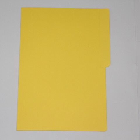 CARPETA PAPIRO PARA FICHERO 20 AMARILLO