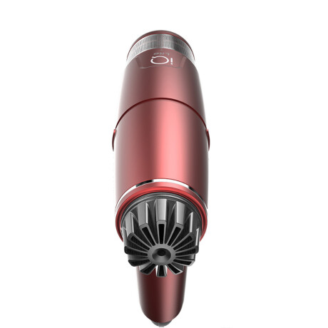 Secador GAMA Professional IQ Lite Red