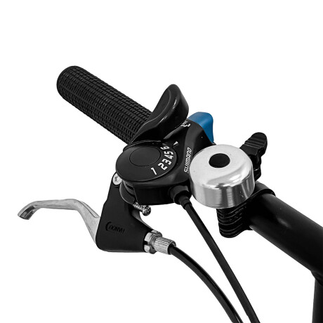 Bicicleta Plegable Expert Amsterdam Rodado 20 C/Cambios Varios Colores Negro