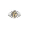 Anillo Profesión Educación Física -Plata y Oro-Sin Piedra-AP5019 sinpiedra