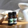 Aceite 10ml hornito Vainilla