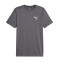 Remera de Hombre Puma Favourite Heather Gris