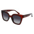 INVU IB22426C Transp.Dark Burgundy Polarized Invu Ib22426c Transp.dark Burgundy Polarized