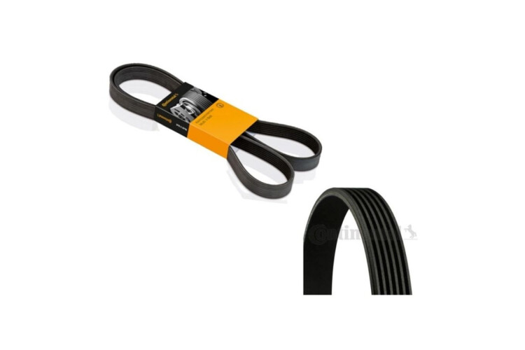 5PK1745 Correa de Accesorios Continental 5PK1745 Correa de Accesorios Continental
