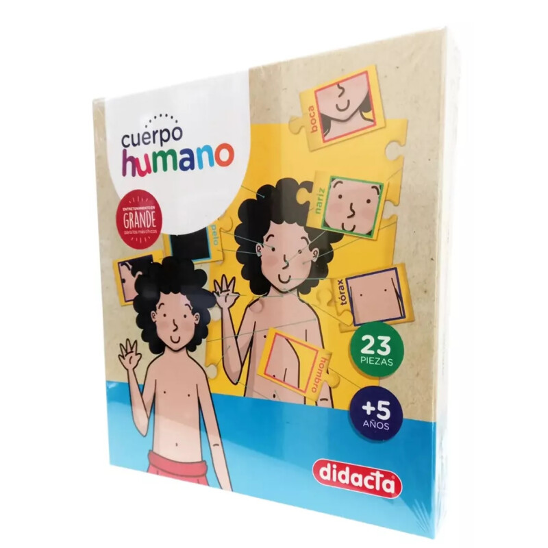Cuerpo Humano Cuerpo Humano