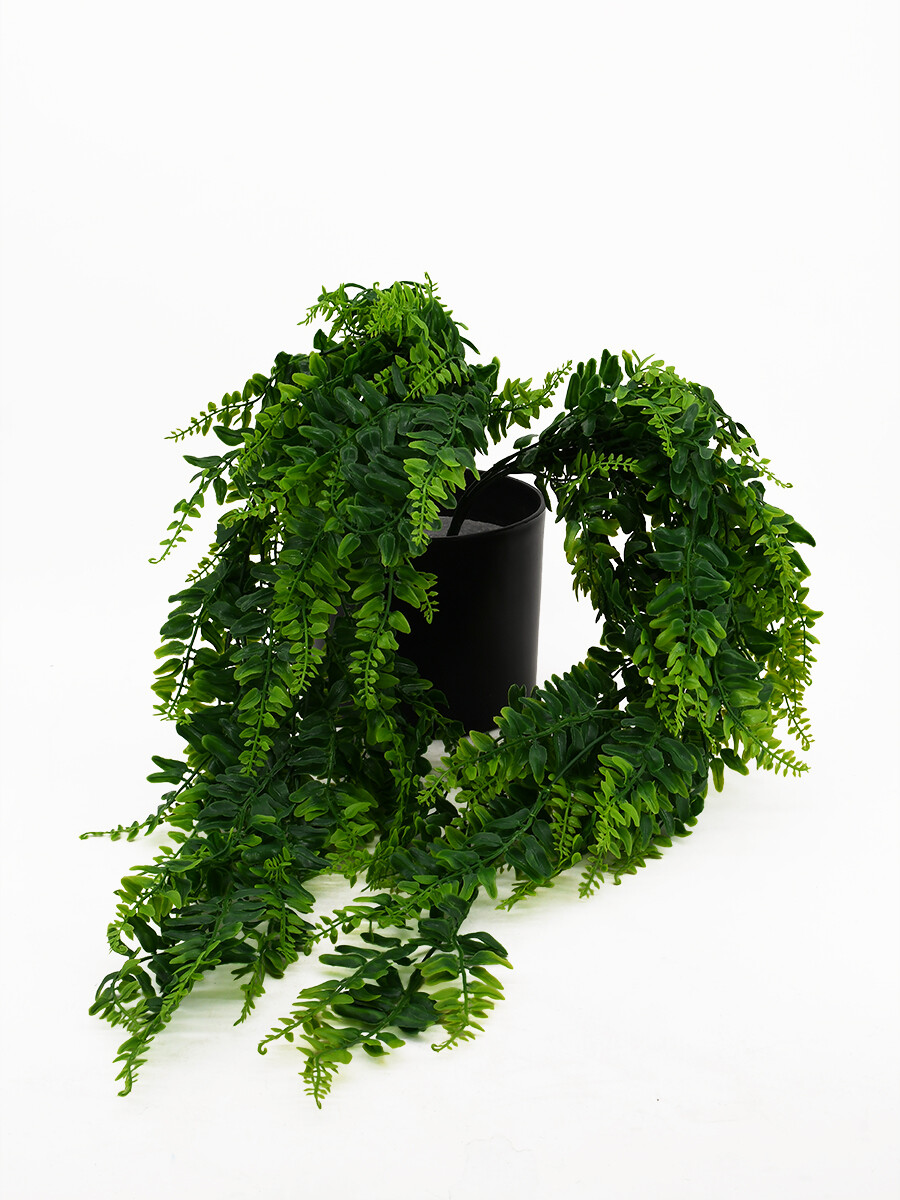 HELECHO COLGANTE - VERDE 