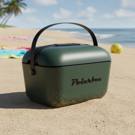 Conservadora Térmica Retro 20L Polarbox Playa Camping Viajes Greenforest