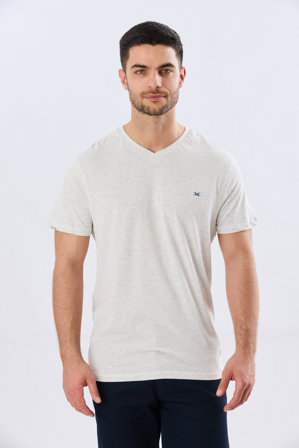 REMERA BÁSICA V DE ALGODÓN Gris