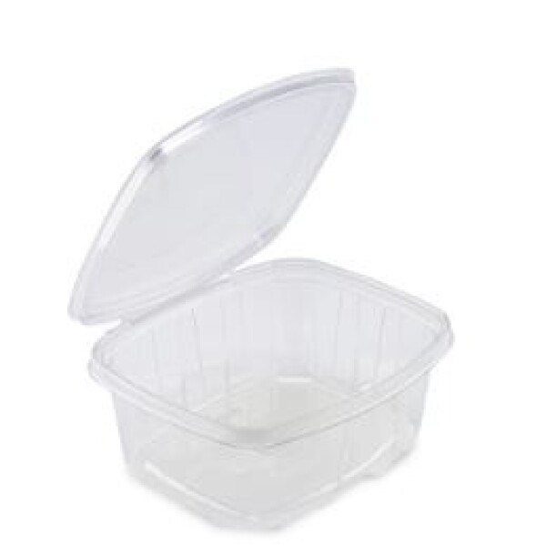 POTE BISAGRA PET RECTANGULAR CON LACRE 840 ML 18,3 x 15,5 x 5,8 CM TRANSPARENTE