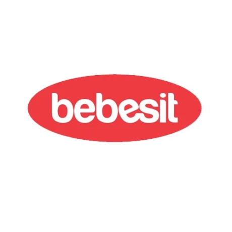 Cuna Colecho Bebesit Myside 6080 GRIS